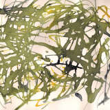 1_PhotoScan